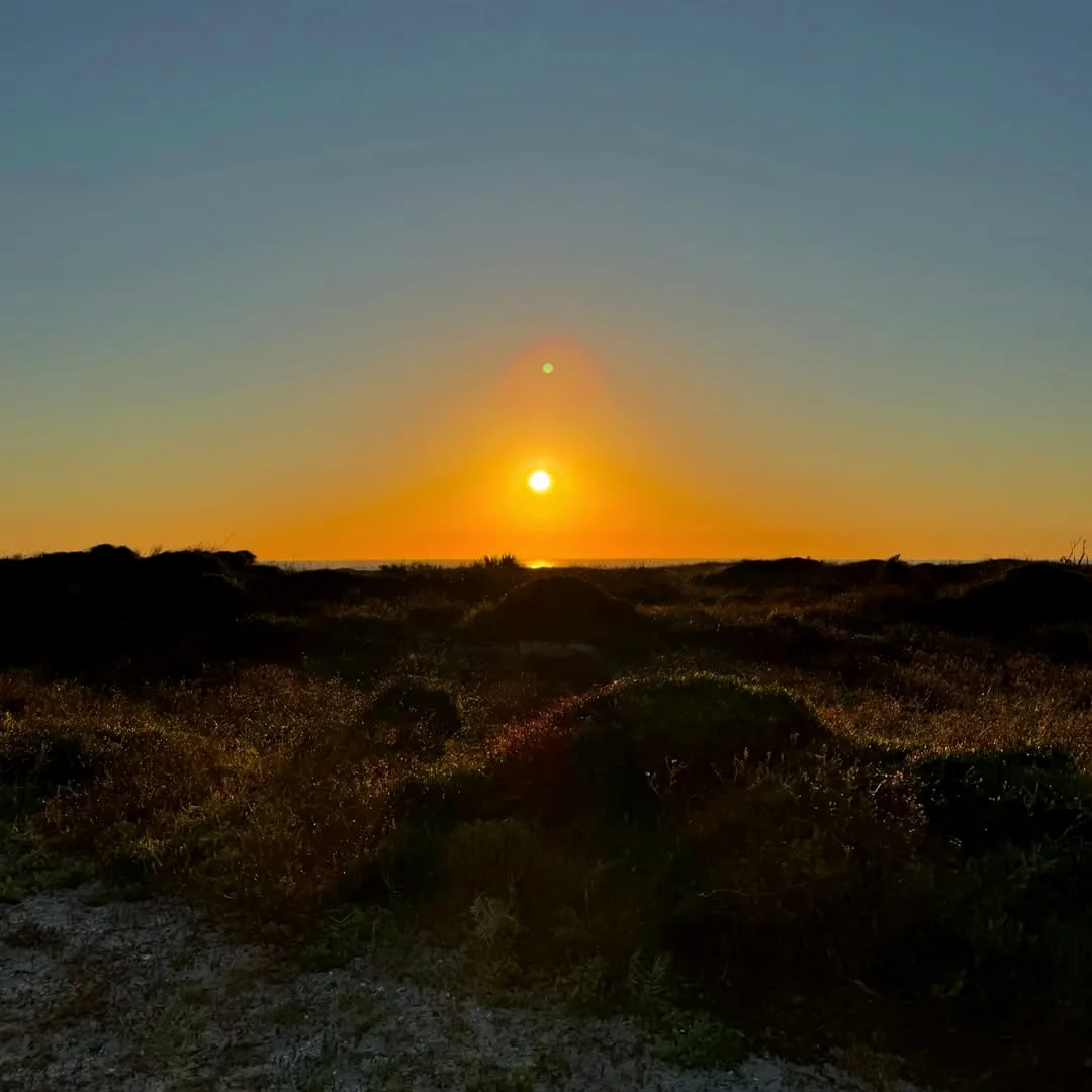 A serene sunrise over a grassy dune landscape, with the sun low on the horizon casting warm orange and yellow light. A small…
