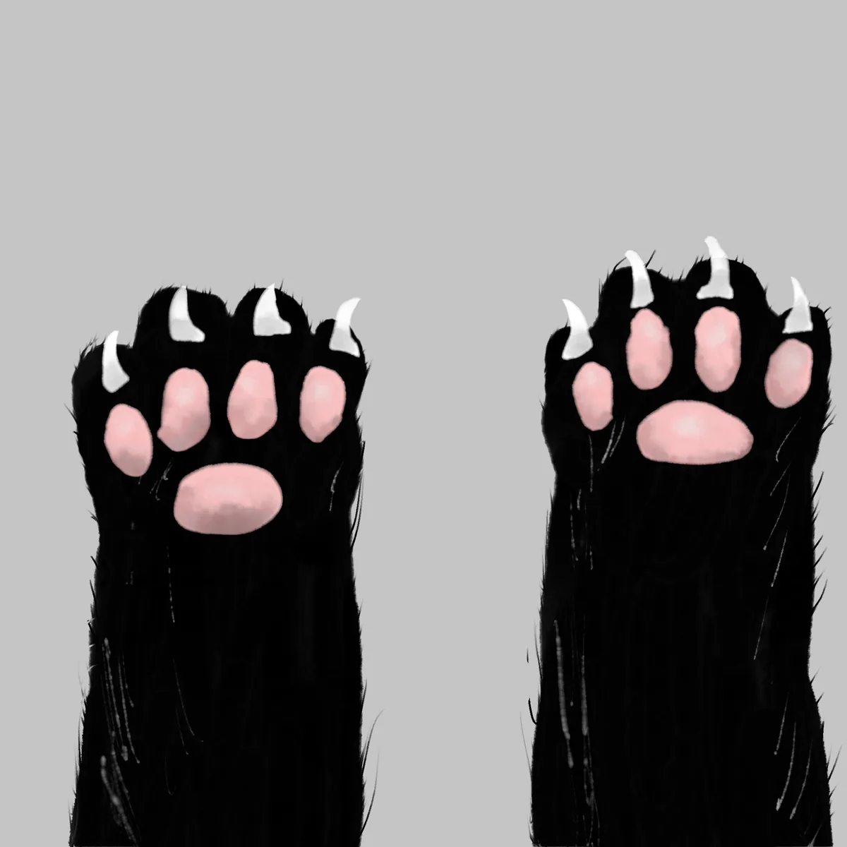 Cuteness Overload: Paws Edition