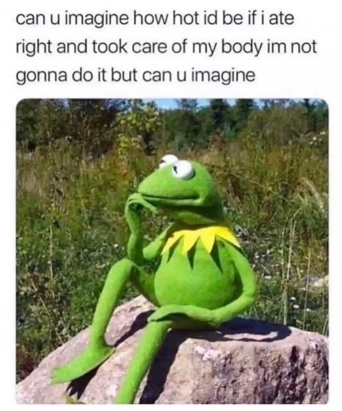 A green frog puppet, Kermit the Frog, sits on a rock outdoors with a thoughtful expression, hand on chin, as overlaid text…