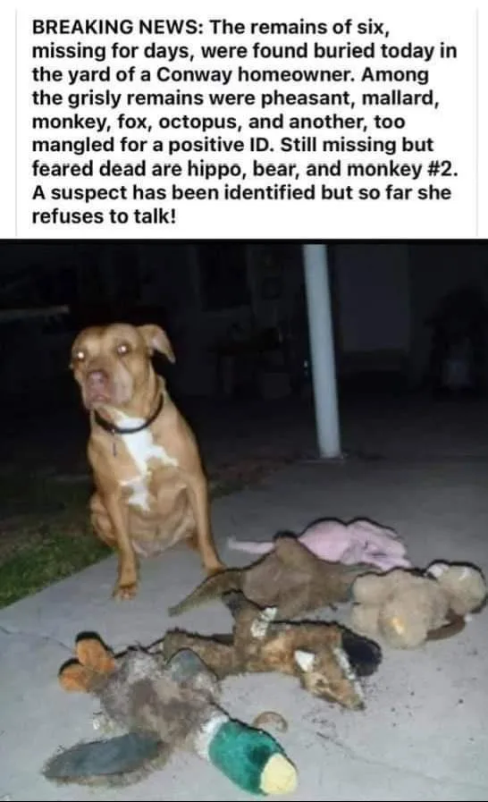 I used to think this neighborhood was a safe haven.