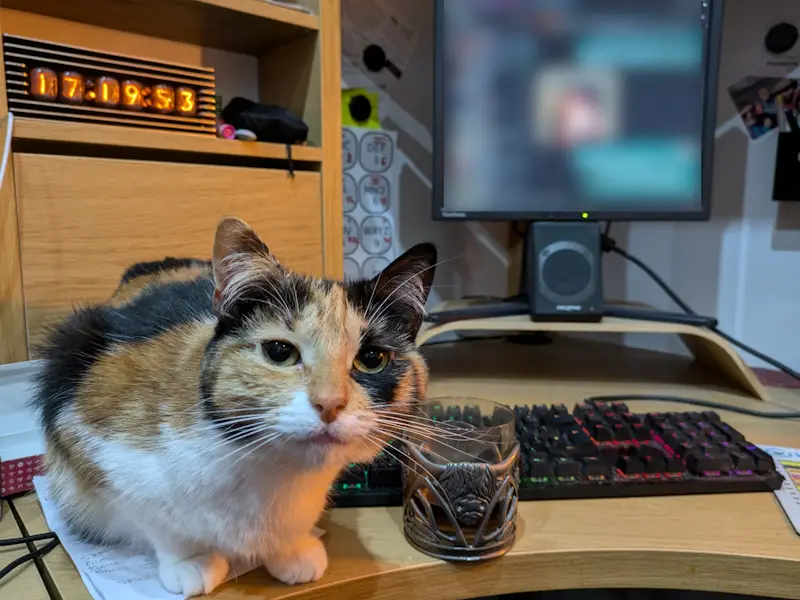 A calico cat sits on a wooden desk in front of a computer monitor and keyboard, looking directly at the camera with a calm…