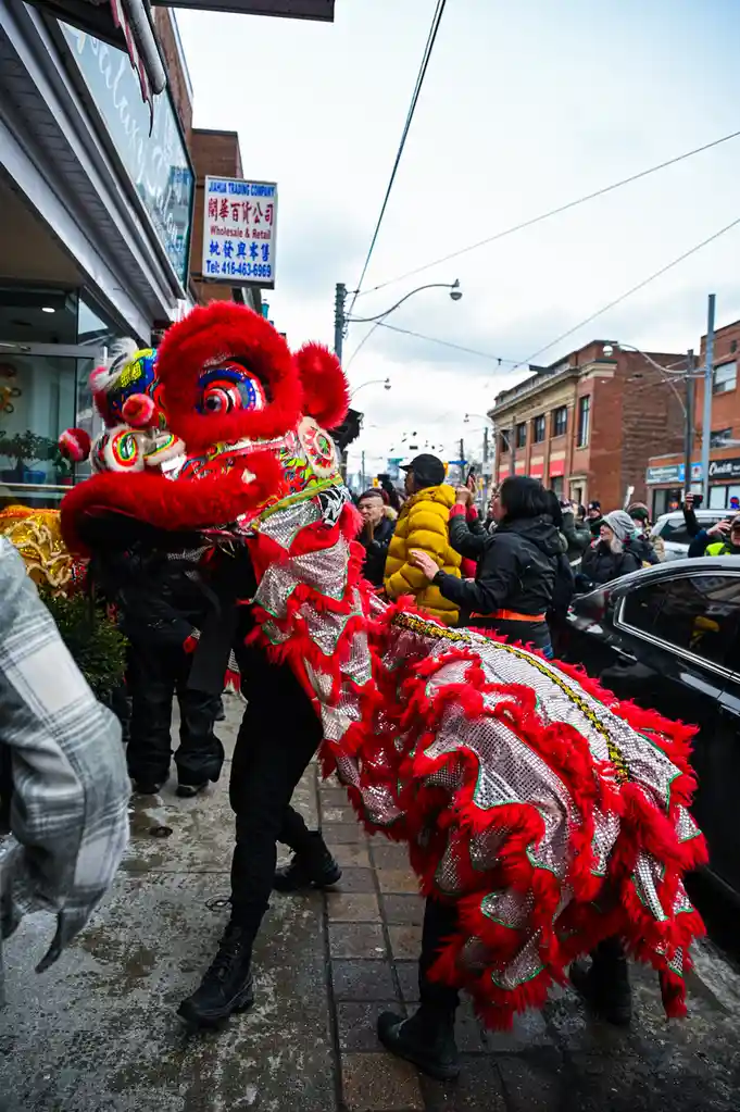 A person in a large, red, furry, sequined lion dance costume performs on a city sidewalk, with onlookers watching and…