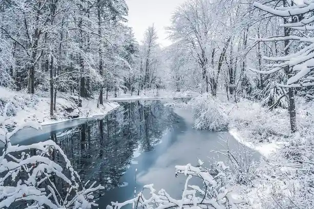 A serene winter scene shows a snow-covered forest with trees heavily laden with snow, surrounding a calm, partially frozen…