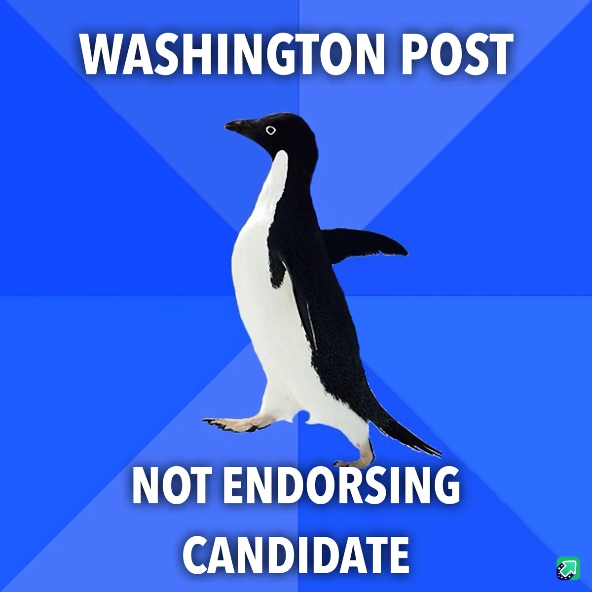 A penguin stands against a blue background with diagonal stripes. White bold text at the top reads 'WASHINGTON POST' and at…
