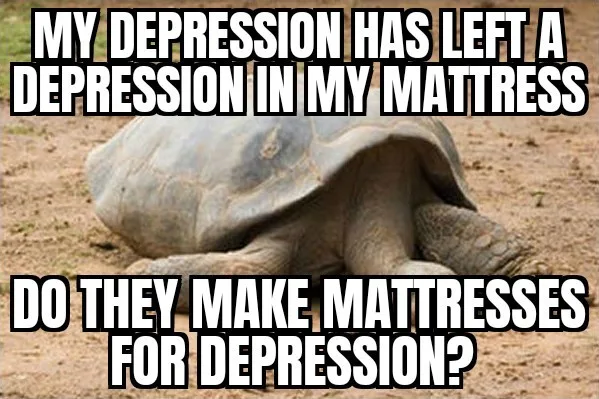 A large tortoise is shown partially buried in sandy dirt, its shell and legs visible. Overlaid white text with black outline…