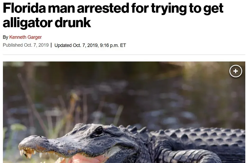 A news article screenshot shows a close-up photo of an alligator with its mouth open, revealing sharp teeth and pink gums…