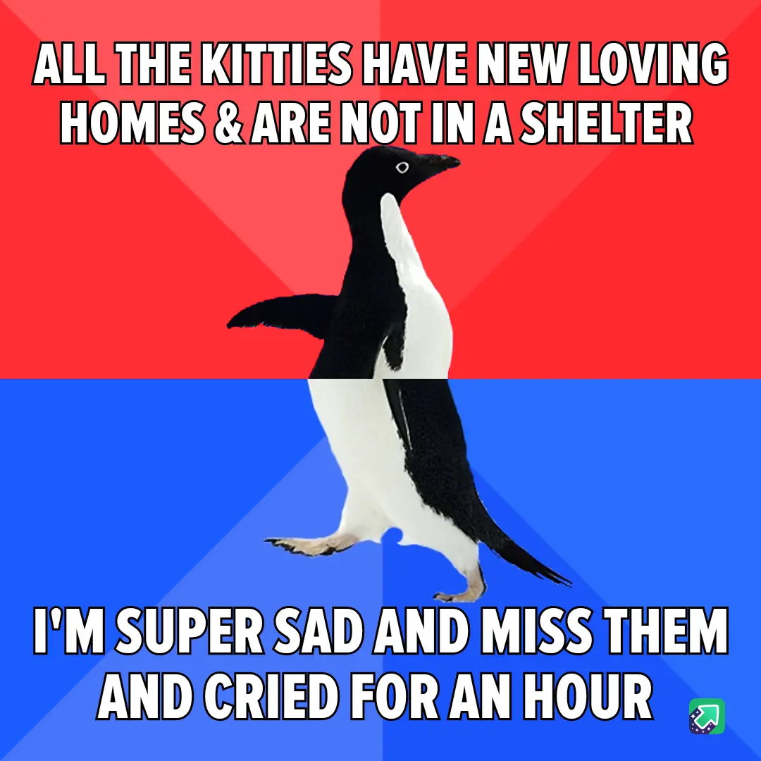 A penguin stands in the center of a red-and-blue split background. The top text reads 'ALL THE KITTIES HAVE NEW LOVING HOMES…