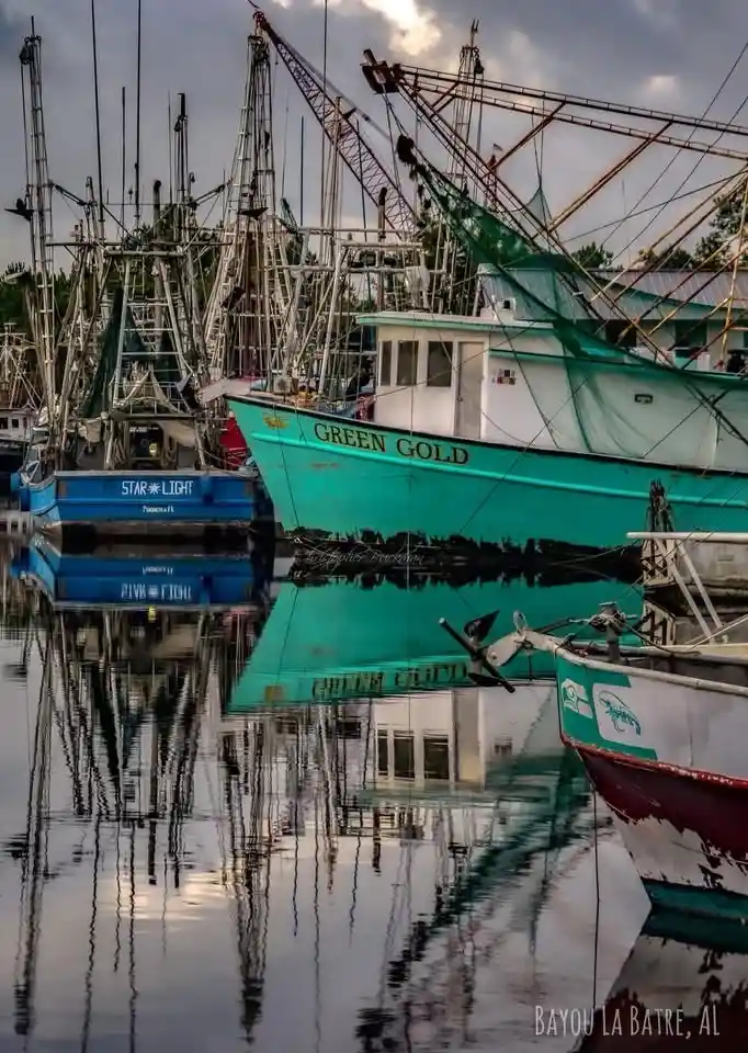 A photograph of several fishing boats docked in a harbor, with the prominent turquoise boat labeled 'GREEN GOLD' and its…