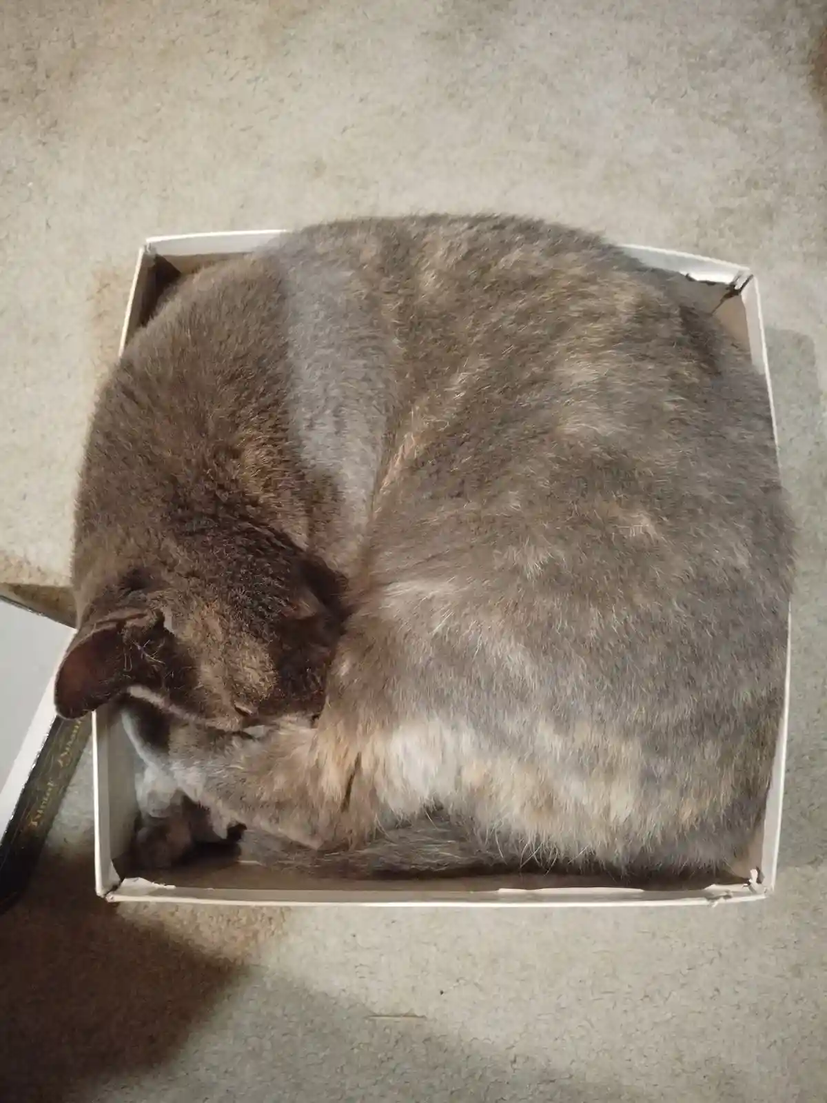 What to Do When Board Games Are Off Limits