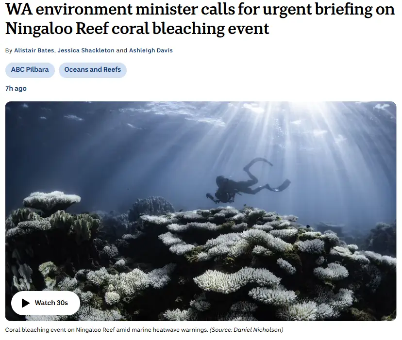 A news article screenshot shows a diver swimming over bleached coral reefs underwater, with sunlight beams penetrating the…