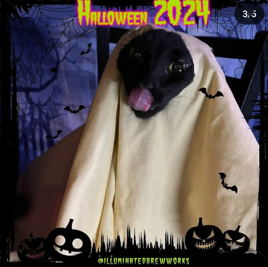 A black cat wearing a pale yellow ghost costume with its tongue sticking out, set against a Halloween-themed background with…