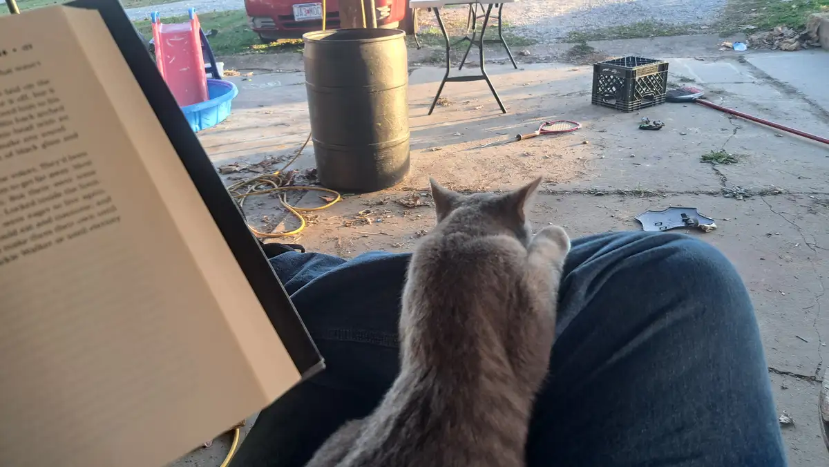 Your Perfect Reading Companion