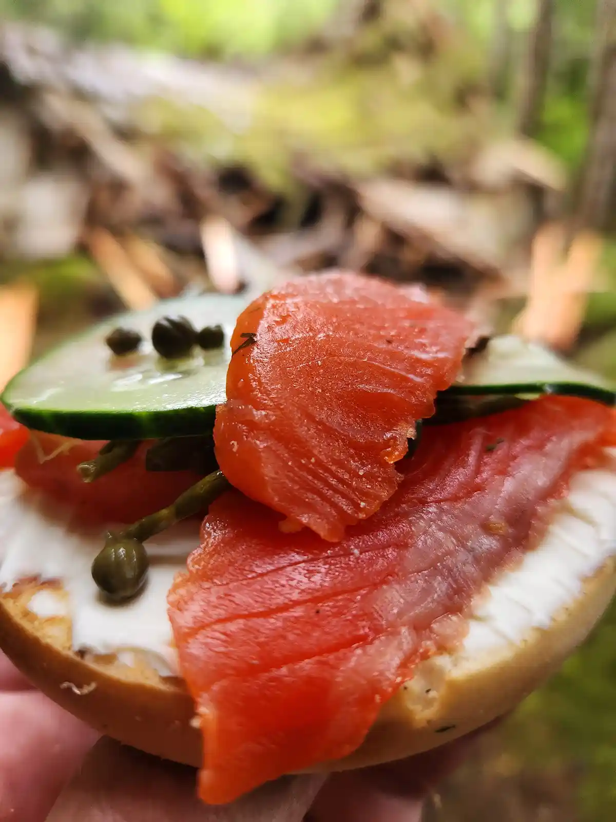 A close-up photo shows a hand holding a bagel half topped with cream cheese, smoked salmon, cucumber slices, and capers, set…