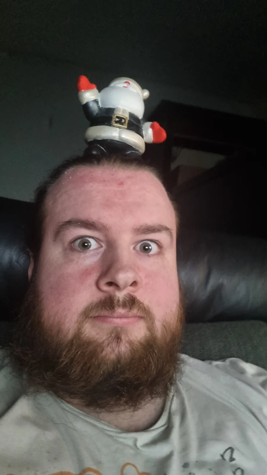 A man with a reddish-brown beard and wide, startled eyes stares at the camera while a small plastic Santa Claus figurine…
