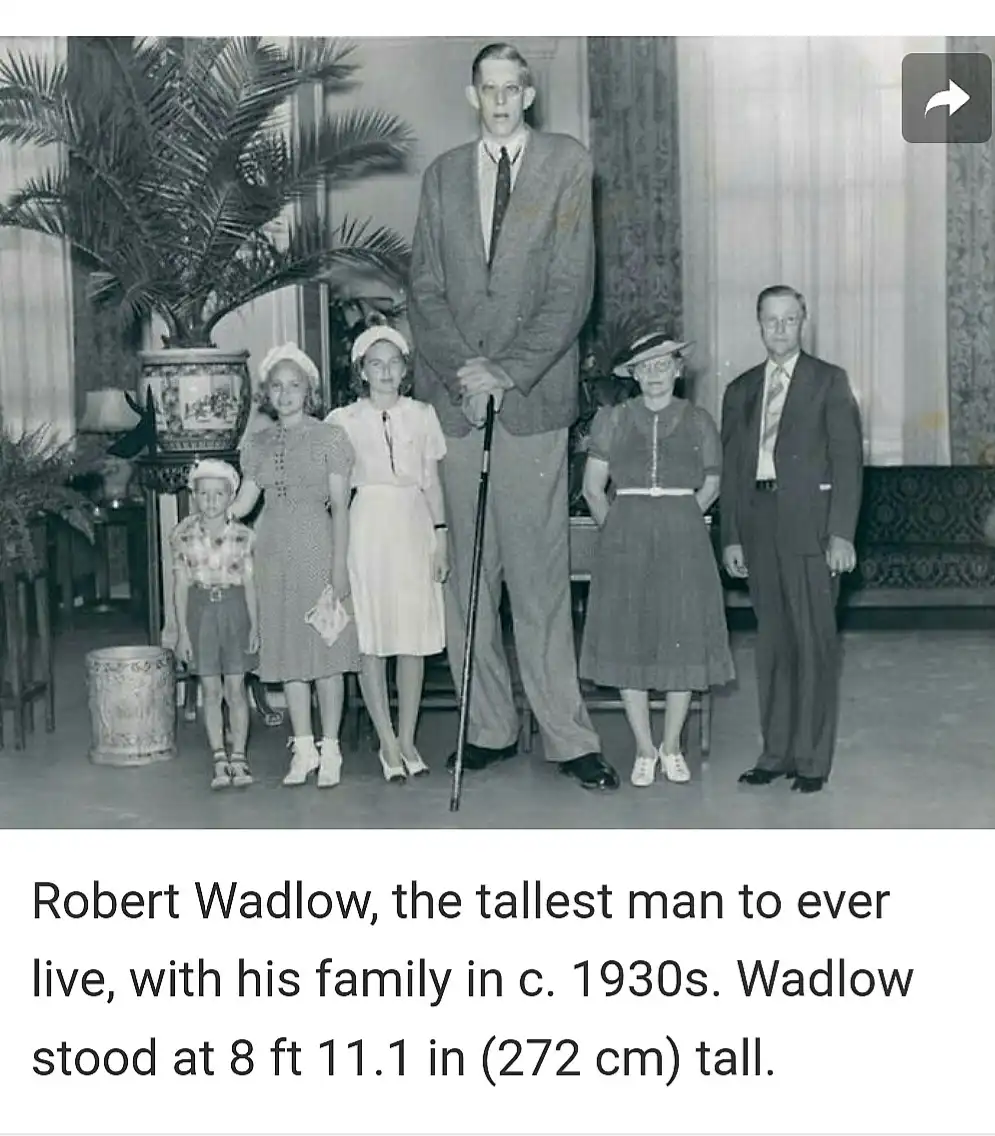 A black-and-white family portrait from circa 1930s shows Robert Wadlow, an exceptionally tall man, standing towering over…