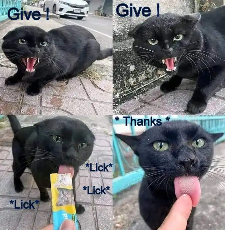 A four-panel meme featuring a black cat. Top panels show the cat aggressively baring its teeth with the text 'Give!'. Bottom…