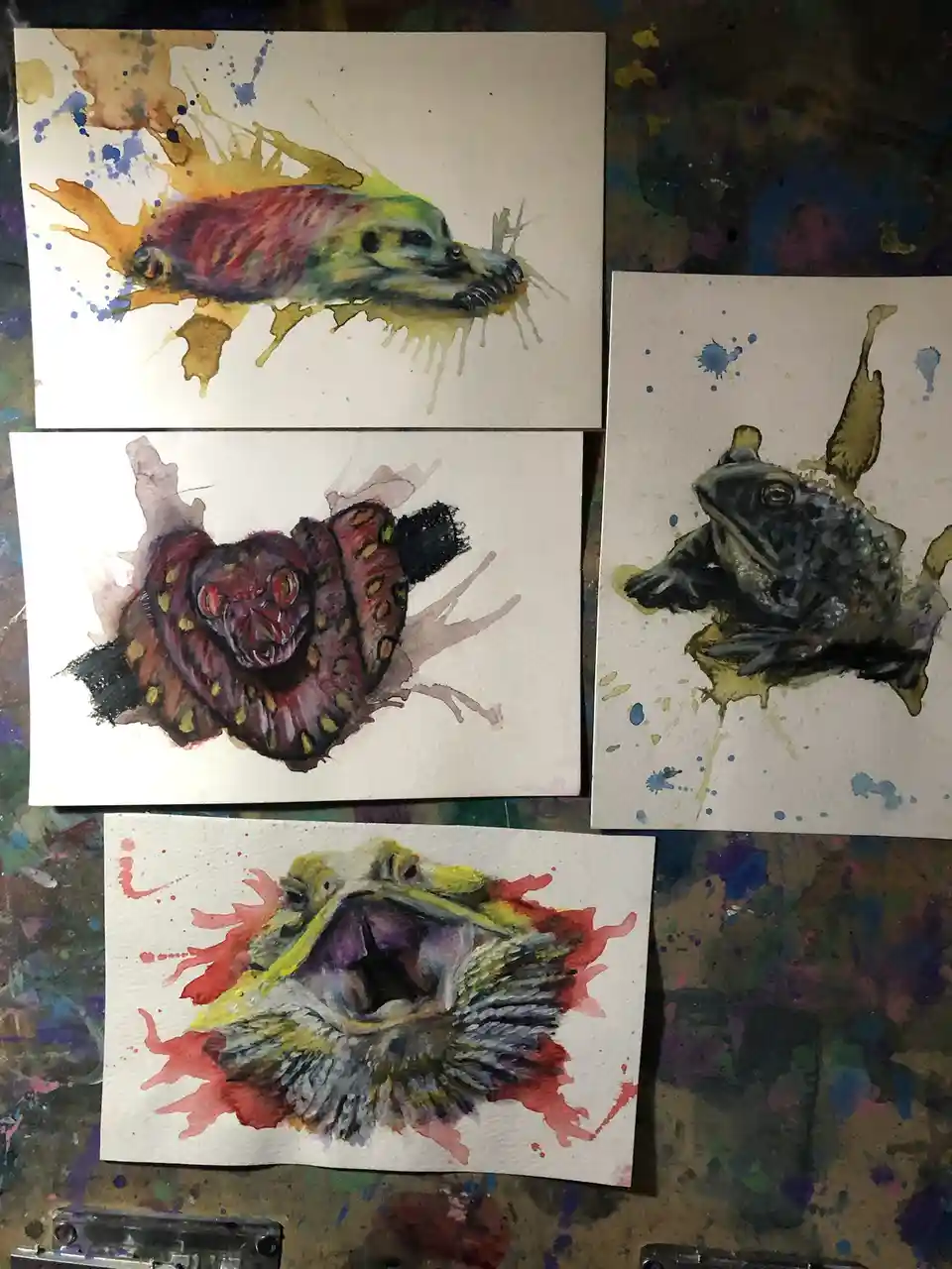 Four watercolor paintings of animals — a seal, a snake, a frog, and a fish — are displayed on a paint-splattered surface…
