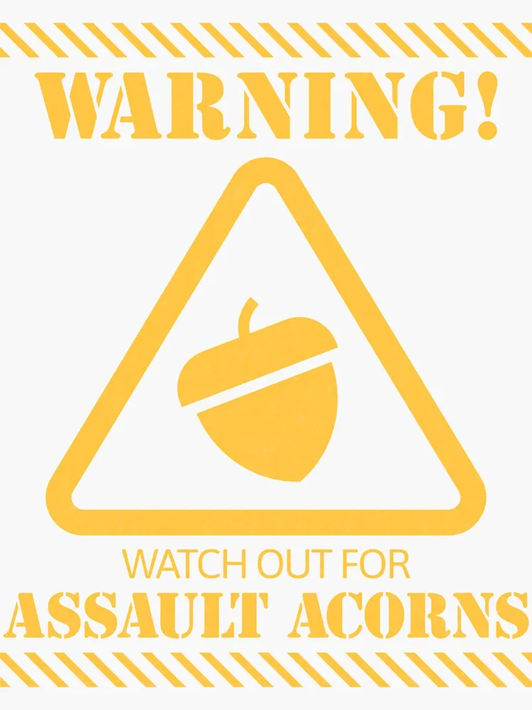 Living Life with Acorns: A Nutty Adventure!