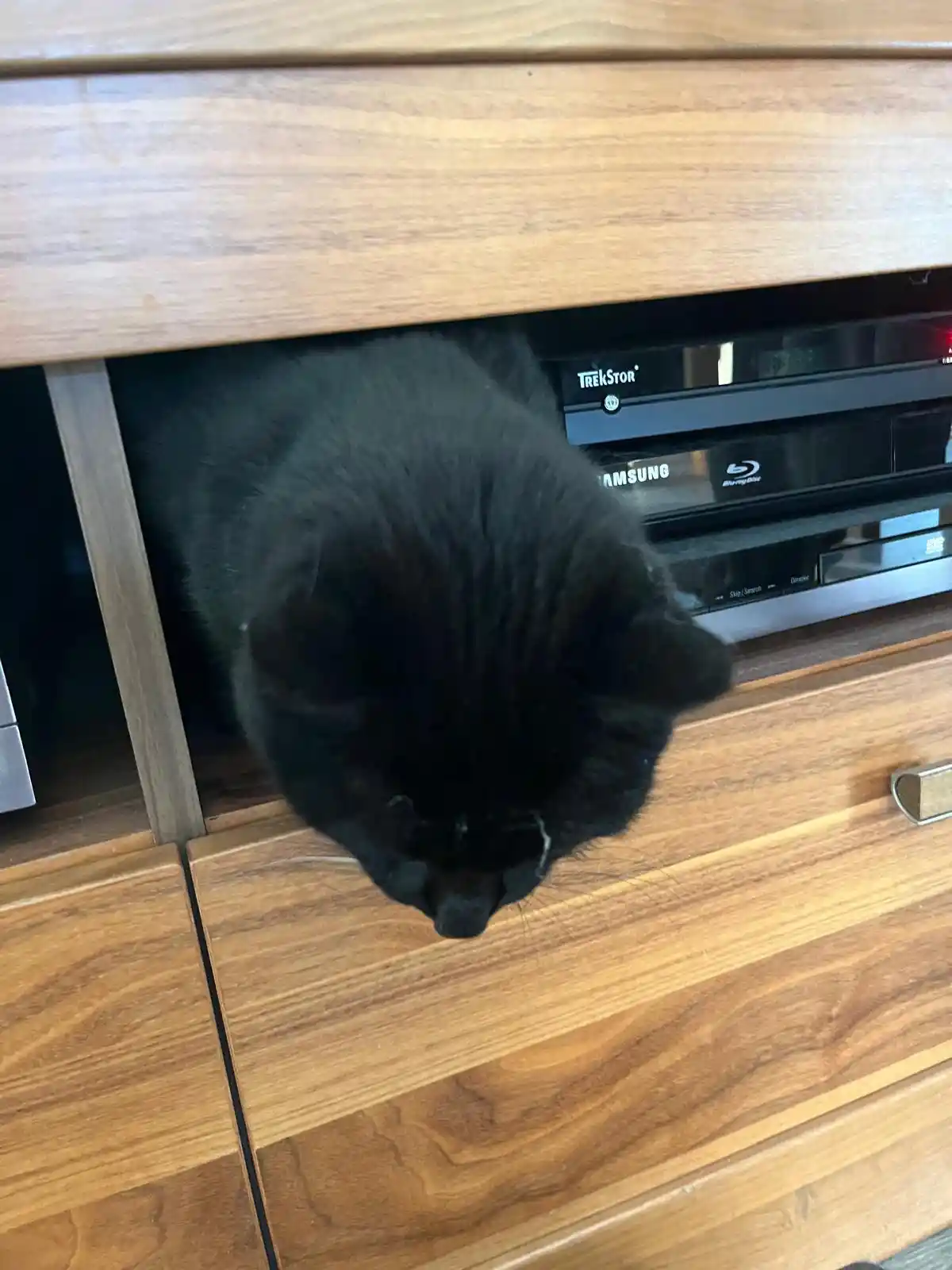 A black cat is curled up and sleeping under a wooden entertainment center, partially hidden by the furniture. Visible behind…