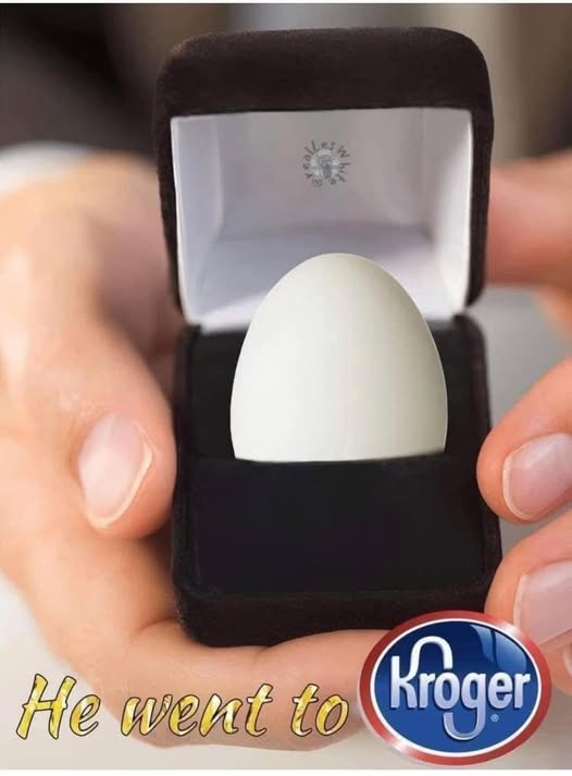 A person holds an open black velvet jewelry box containing a single white egg. The box has a small logo on the inside lid…