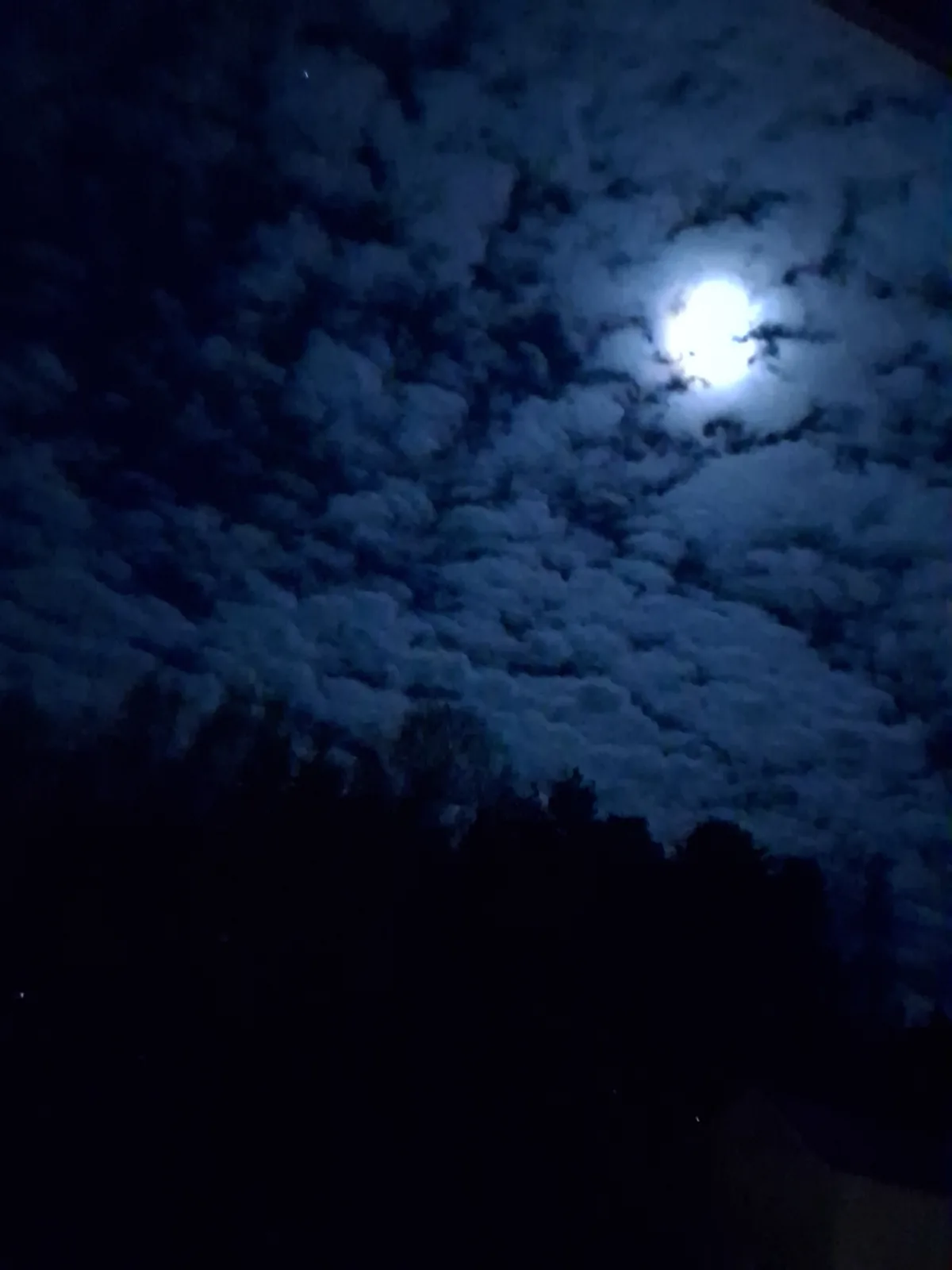 A night sky photo showing a bright moon partially obscured by clouds, with dark silhouettes of trees at the bottom. The…
