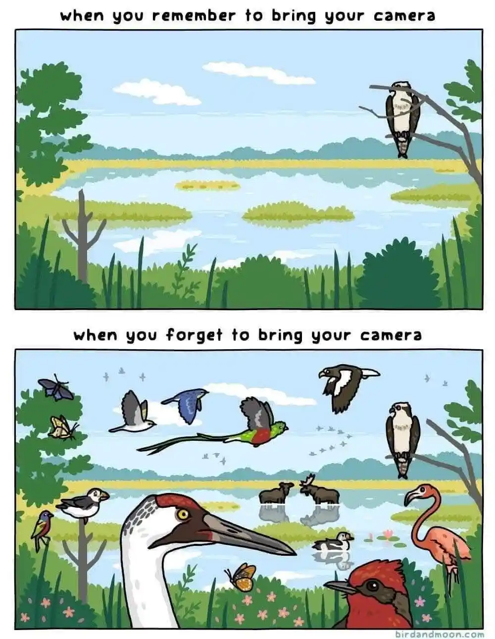 The meme is a two-panel comic. The top panel shows a calm wetland scene with one bird perched on a branch under the text…