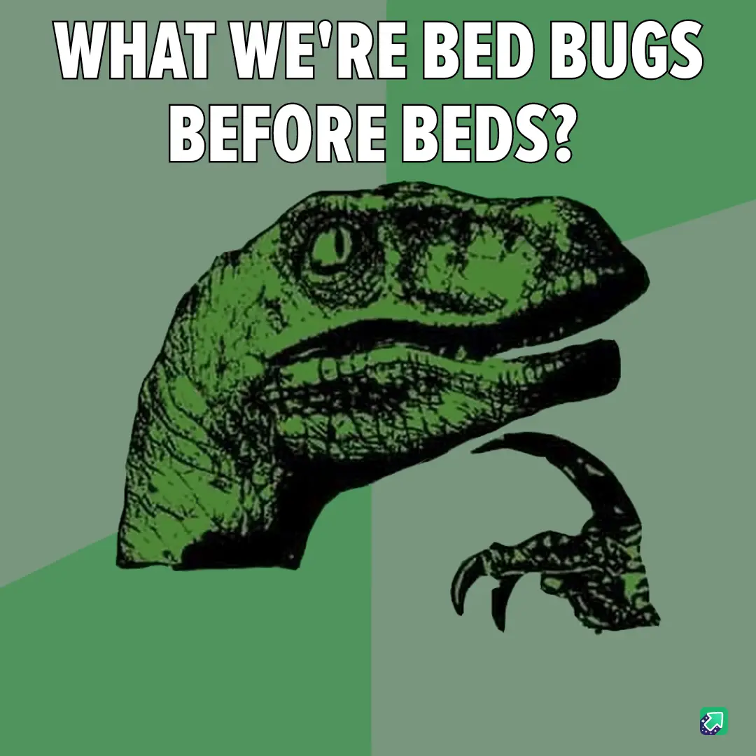 Is It Just Bugs or Something More Sinister?