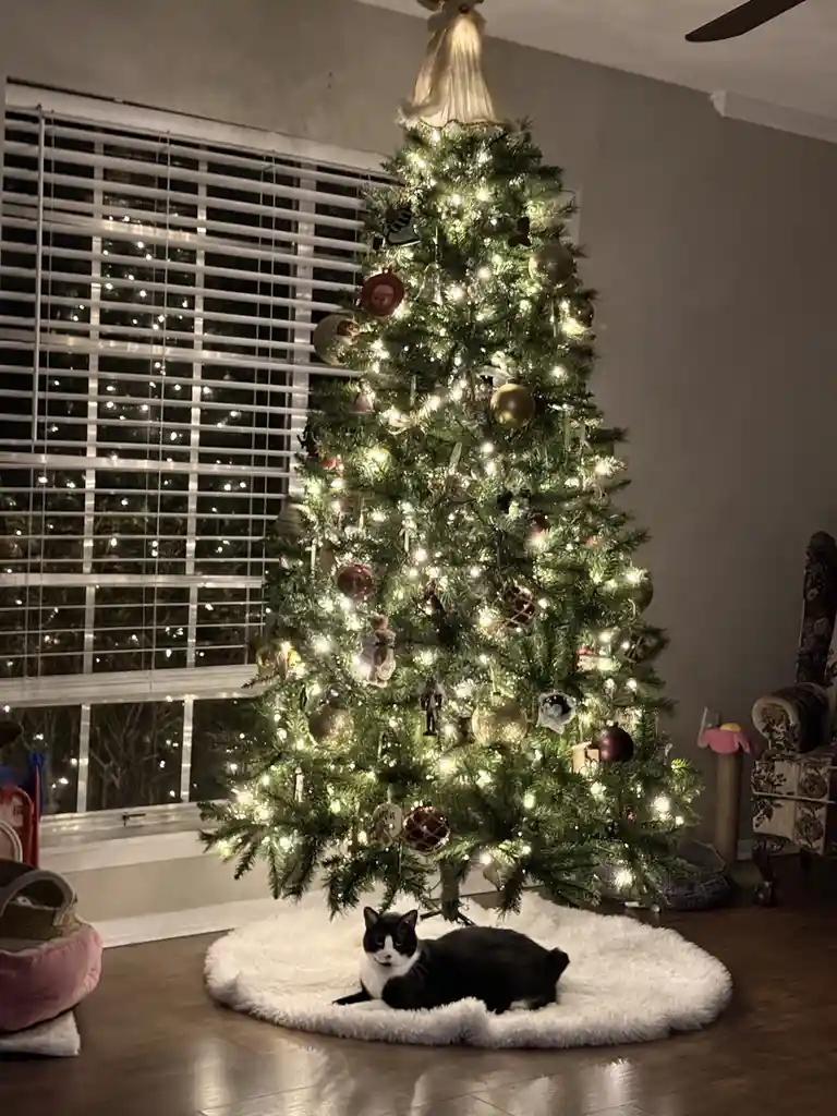 A black and white cat is lying calmly on a fluffy white rug directly beneath a fully decorated, lit Christmas tree. The tree…