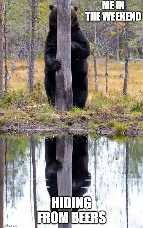 A black bear stands upright holding a wooden post in a forest near water, with its reflection visible. White bold text at…