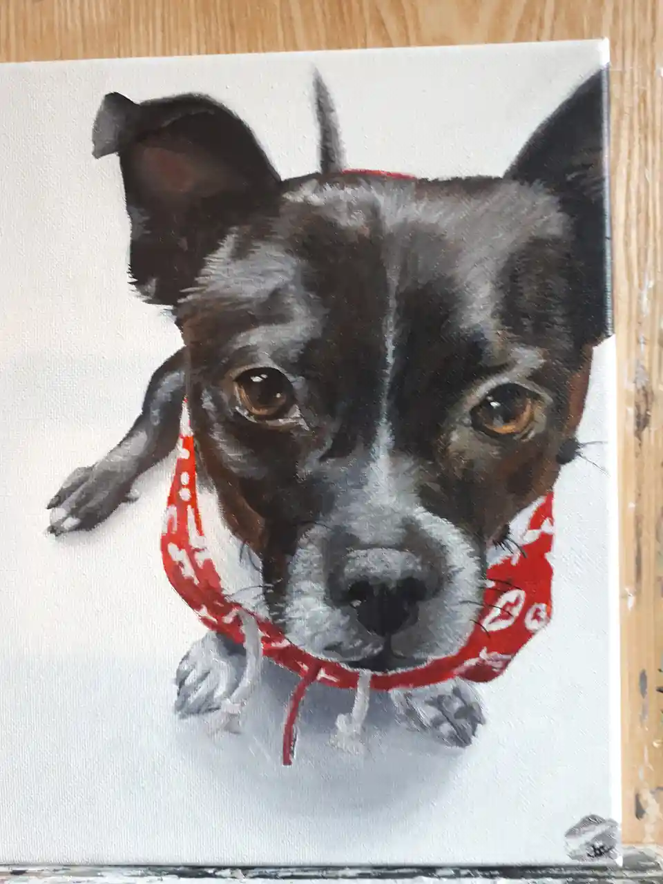 A painted portrait of a black and white dog with brown eyes wearing a red bandana with white patterns, looking directly at…