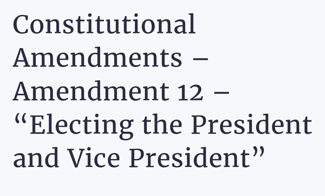 The image displays bold, dark gray text on a plain light gray background. The text reads 'Constitutional Amendments –…