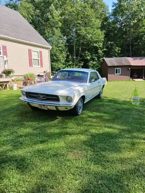 A white 1960s Ford Mustang is parked on a grassy lawn in front of a house, with a Japanese beetle trap standing nearby on…