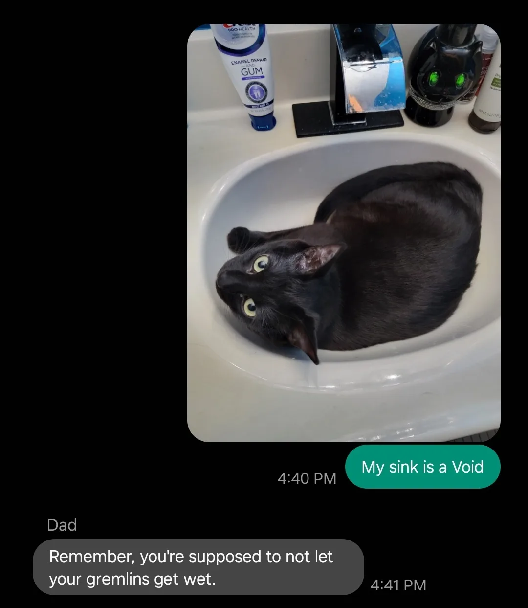 A black cat is sitting in a white bathroom sink, looking up with wide eyes. The image is overlaid with a text message…
