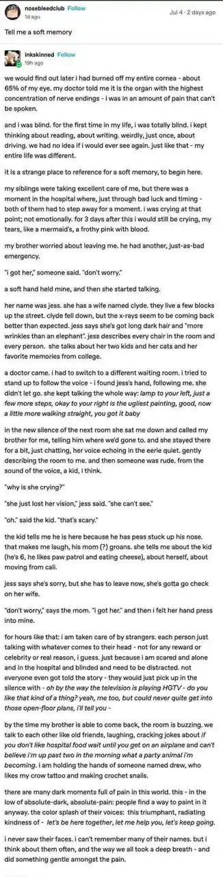 A screenshot of a Reddit comment thread where user 'inksinned' responds to a prompt asking for a 'soft memory'. The comment…