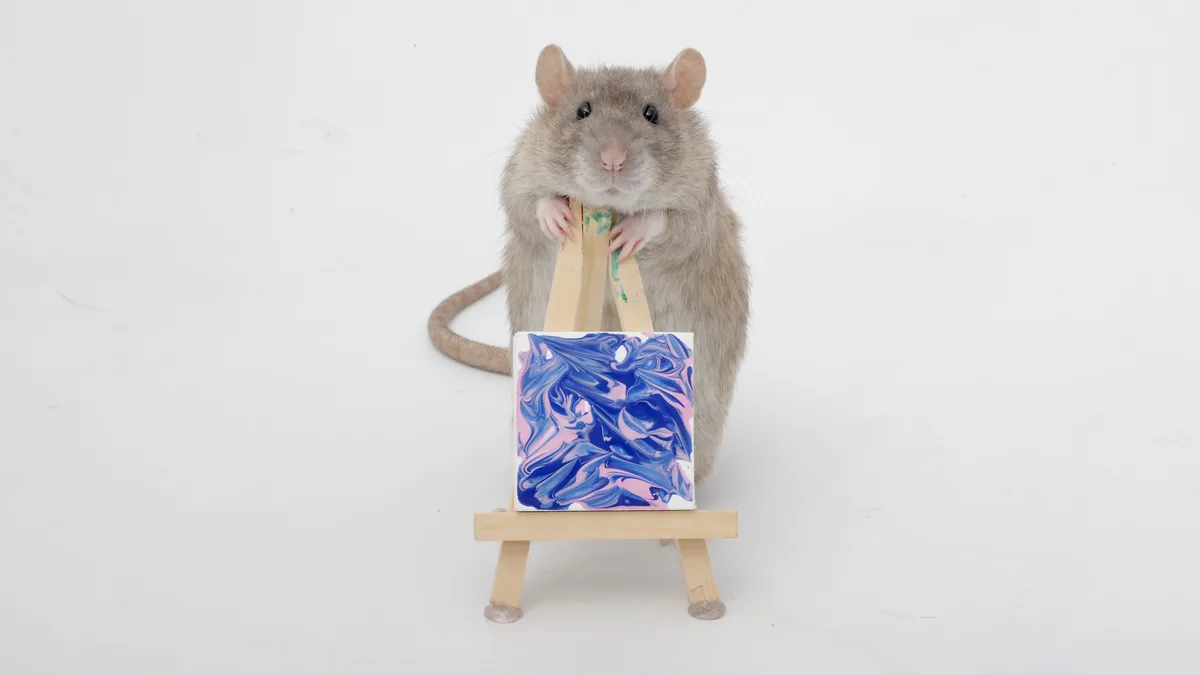 A gray rat stands upright behind a miniature wooden easel, holding it with both paws. In front of it is a small square…