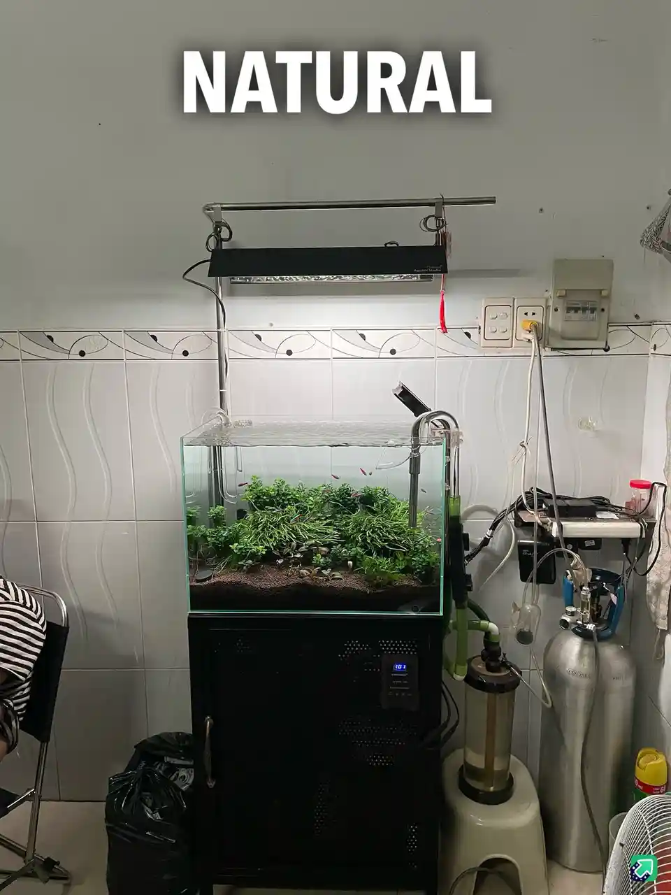 An aquarium with lush green plants and small fish sits atop a black cabinet, surrounded by complex, visible equipment…