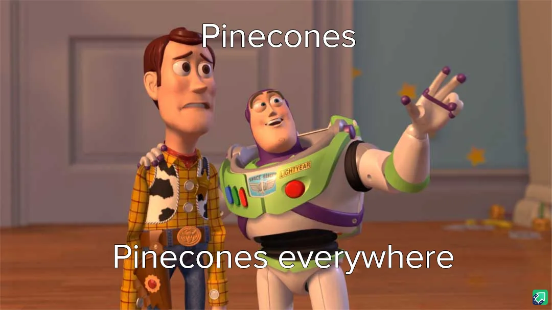 Proud Member of Team Pinecone!