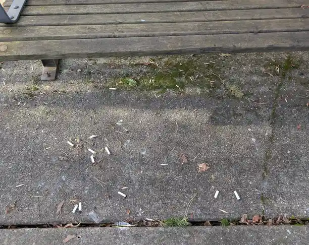 An overhead shot shows cigarette butts scattered on concrete ground beneath a wooden bench, with moss and pine needles…