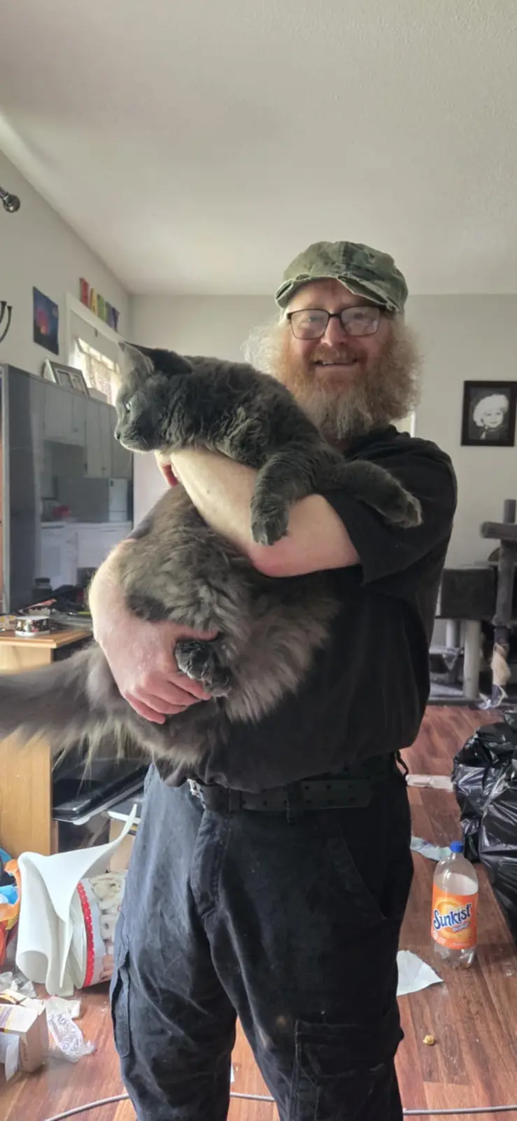 A man with a long beard and glasses, wearing a green cap and black clothes, is holding a very large, fluffy gray cat. The…