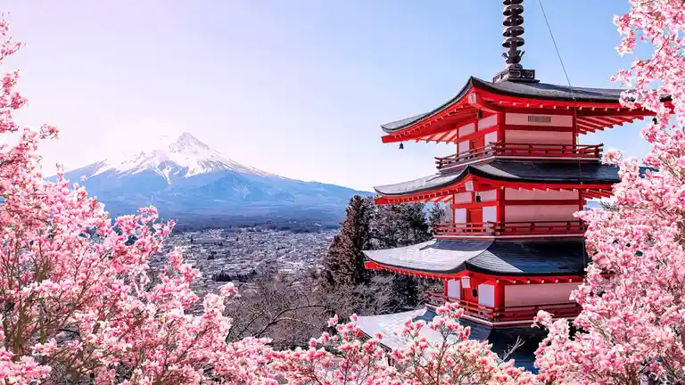 Mount Fuji and Chureito Pagoda are framed by vibrant spring cherry blossoms, a beloved Japanese tradition called hanami. The…