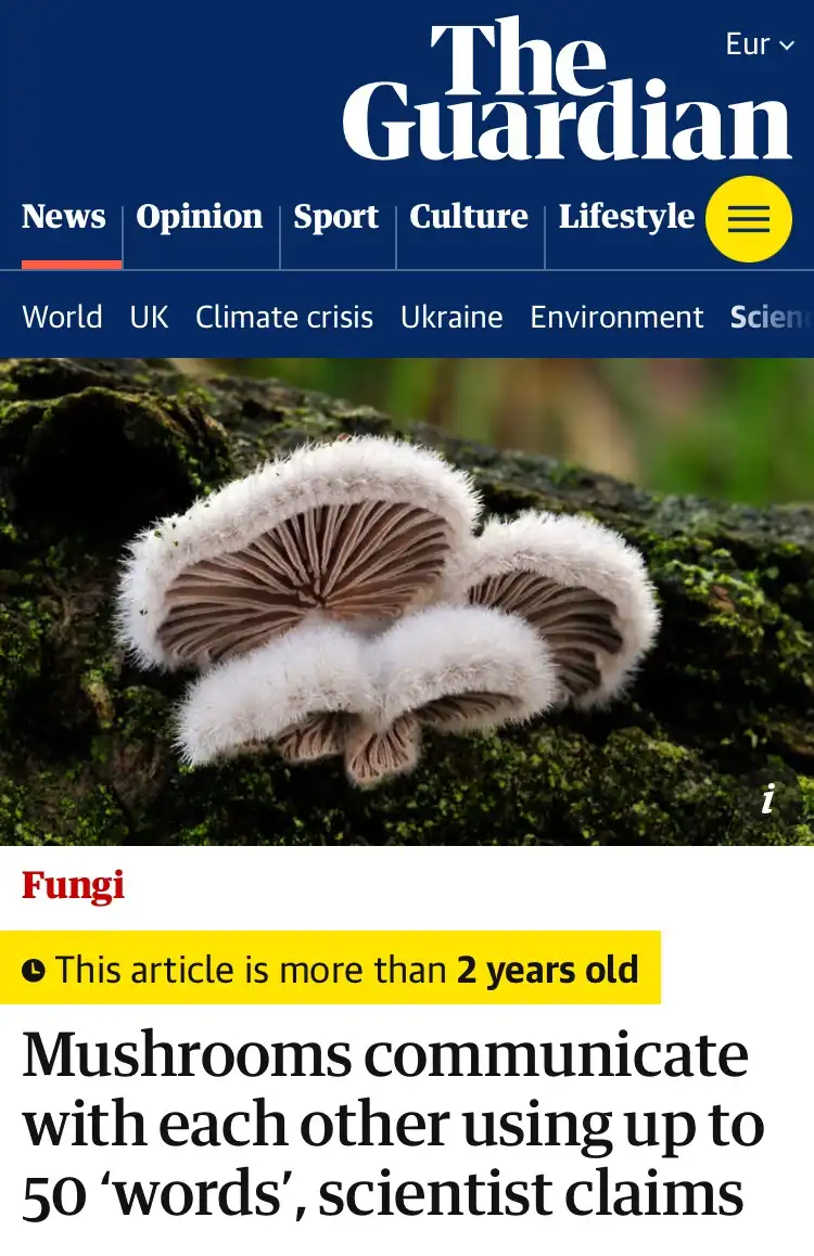 The image shows a screenshot of The Guardian newspaper's website with a photo of fuzzy white mushrooms growing on a mossy…