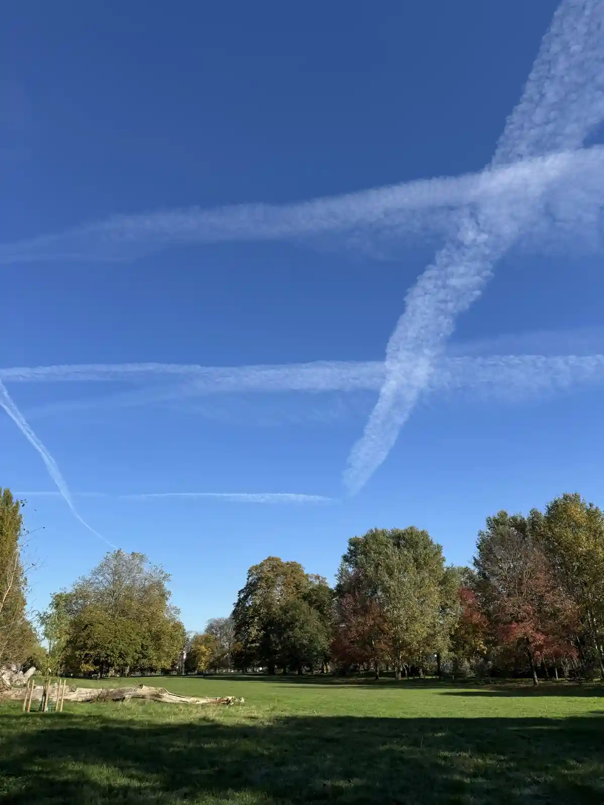 A clear blue sky over a park with green grass and trees showing autumn colors, featuring several airplane contrails that…