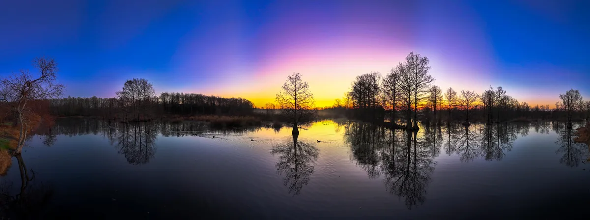 A panoramic photo of a serene lake at sunrise or sunset, with bare trees silhouetted against a vibrant sky transitioning…