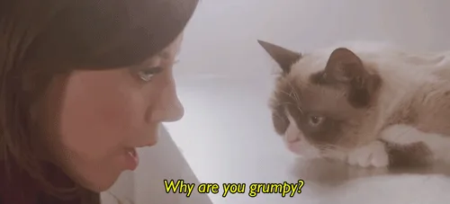 A woman repeatedly asks a grumpy-looking cat 'Why are you grumpy?' in a sequence of identical frames, highlighting the cat's…