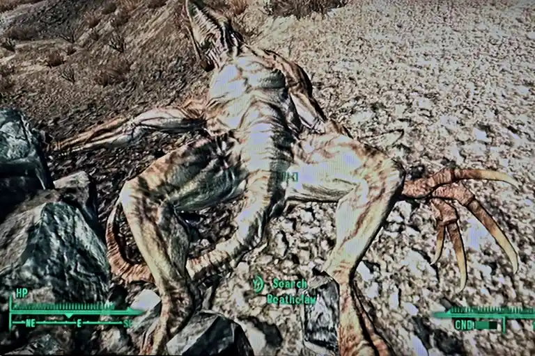 A screenshot from the video game Fallout 3 shows a dead, large, reptilian creature with claws lying on rocky, desert…