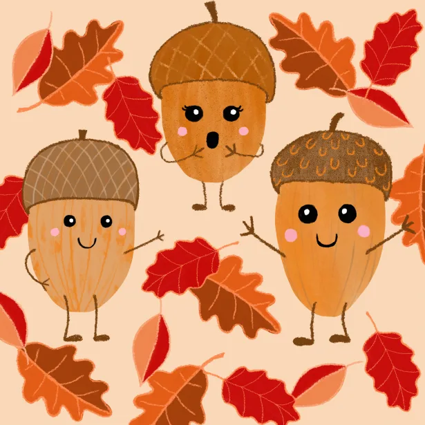 Celebrating the Start of Winter in the Northern Hemisphere!