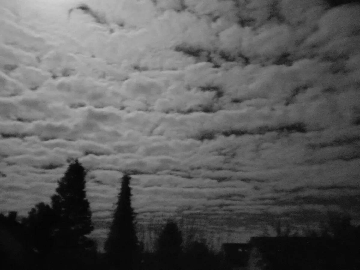 A black-and-white photograph shows a dense, textured sky filled with layered clouds, with dark silhouettes of trees and…