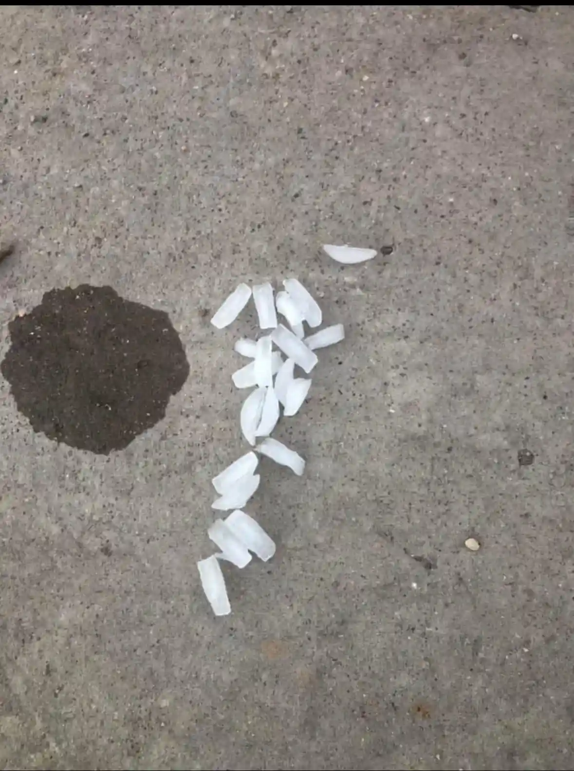 Apologies, Boss: There's Ice on My Driveway