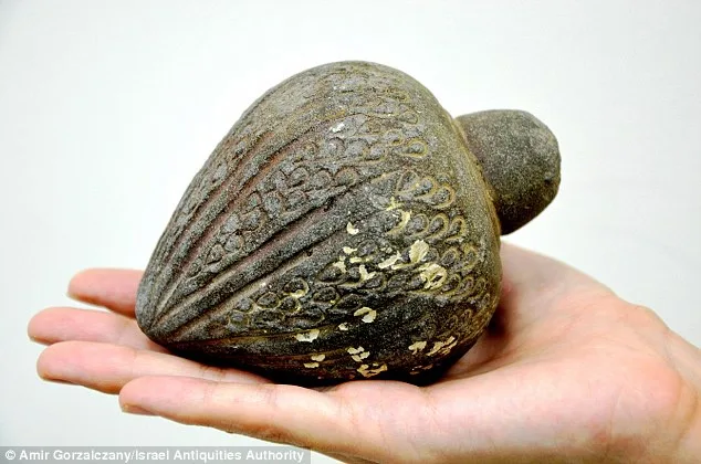 A hand holds a small, dark, intricately carved stone object with decorative patterns, resembling a stylized seed or nut. The…