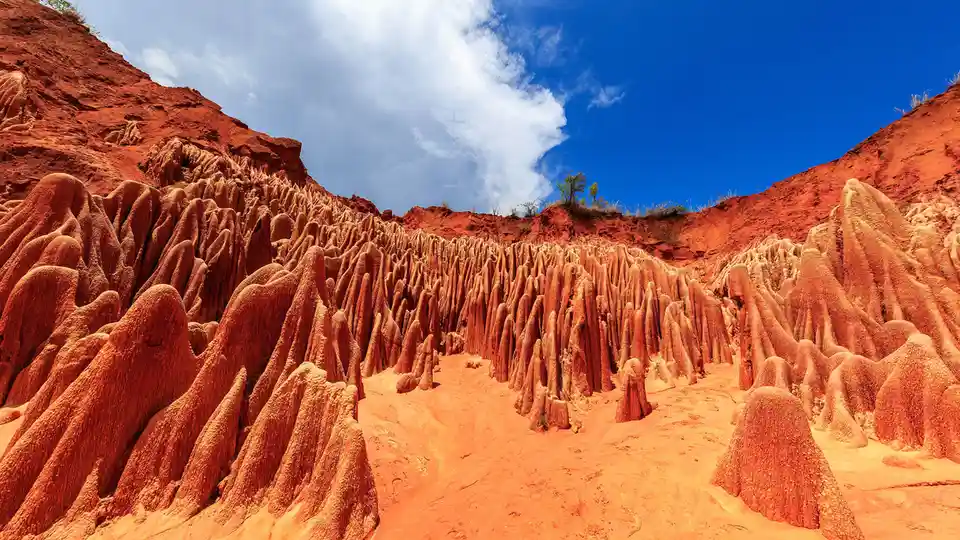 The Tsingy Rouge, also known as Red Tsingy, is a unique formation of compressed, clay-rich earth in Madagascar's north. Its…